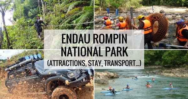 Endau Rompin Summer Camp Adventure Jungle Survival Taman Negara Johor Home Facebook