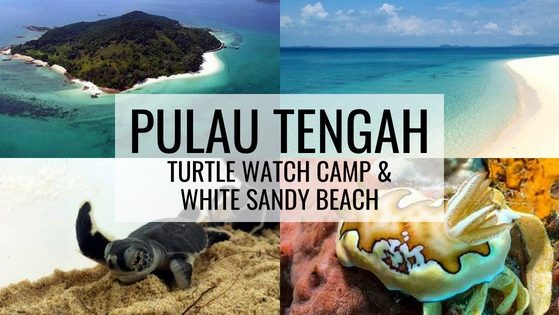 Tengah Island Johor Pulau Tengah, Johor