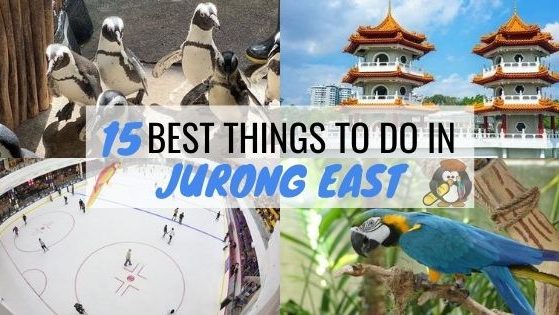15 Best Things To Do In Jurong East
