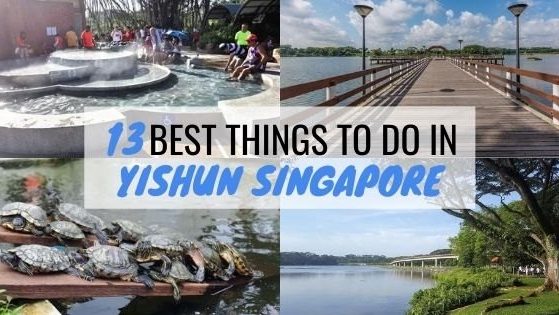 13 Top-Rated Things To Do In Yishun