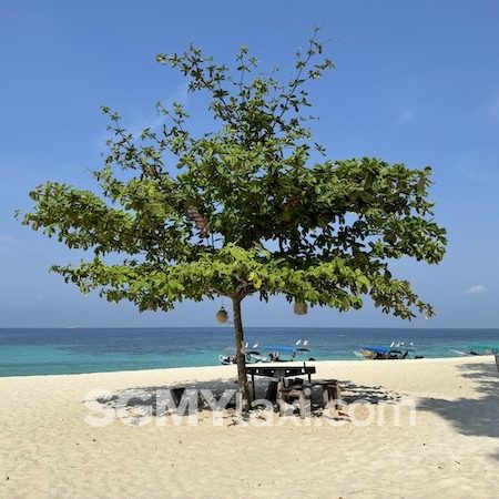 Tioman Snorkeling Trip
