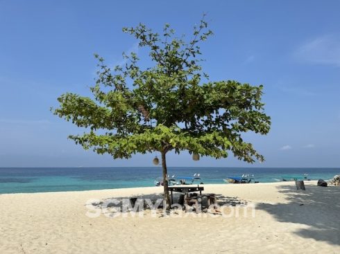 Tioman Snorkeling Trip