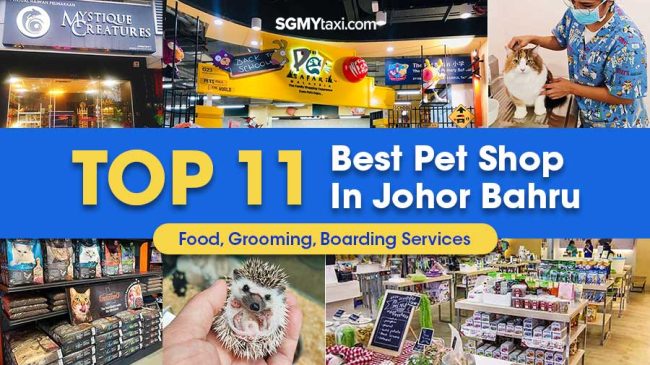 Top 11 Best Pet Shop In Johor Bahru