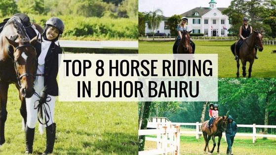 Top 8 Horse Riding In Johor Bahru Top 8 Horse Riding In Johor Bahru