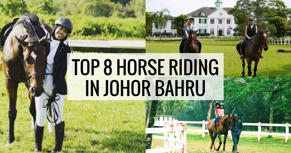 Top 8 Horse Riding In Johor Bahru