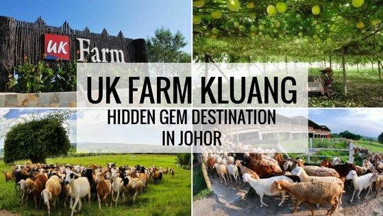 UK Agro Farm Kluang in Johor