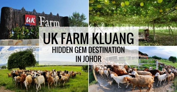 UK Agro Farm Kluang in Johor