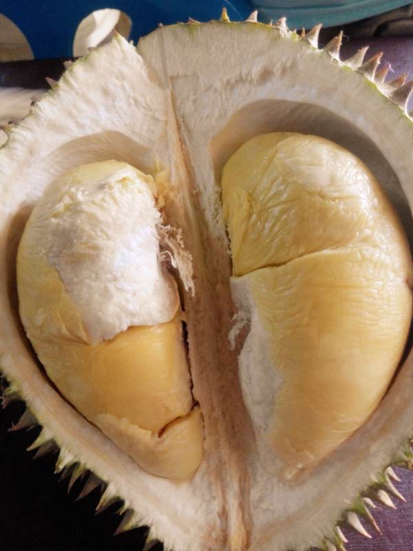 Uncle Lim's Musang King