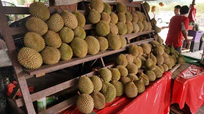 Uncle Lim's Durian at Pekan Nena, Johor Bahru