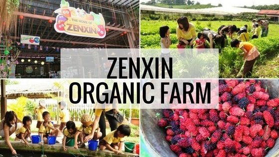 Zenxin Organic Farm Johor