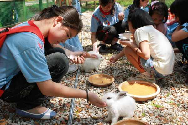 Zenxin Organic Farm (Pet Feeding)