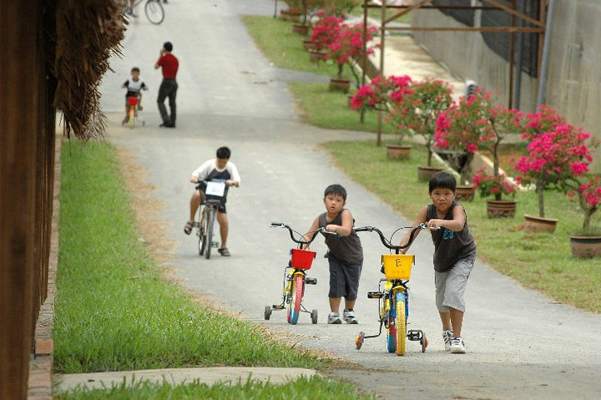 Rent a bicycle and cycling at Zenxin Organic Farm