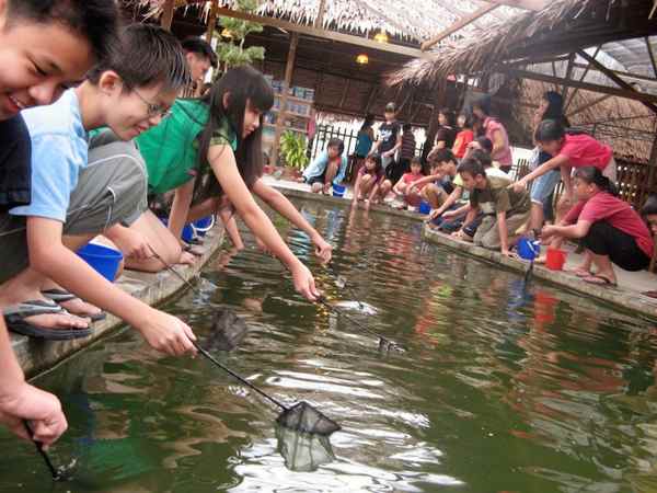 Zenxin Organic Park (Fish Catching & Feeding)