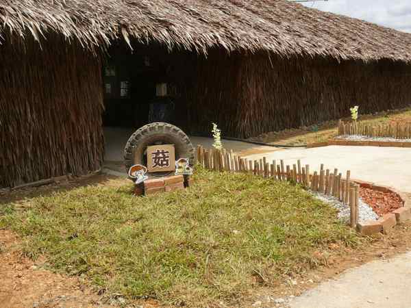 Zenxin Organic Park (Mushroom House)