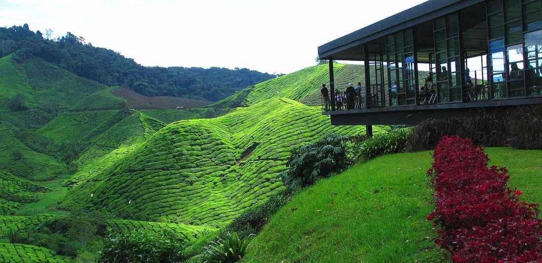 Cameron Highlands