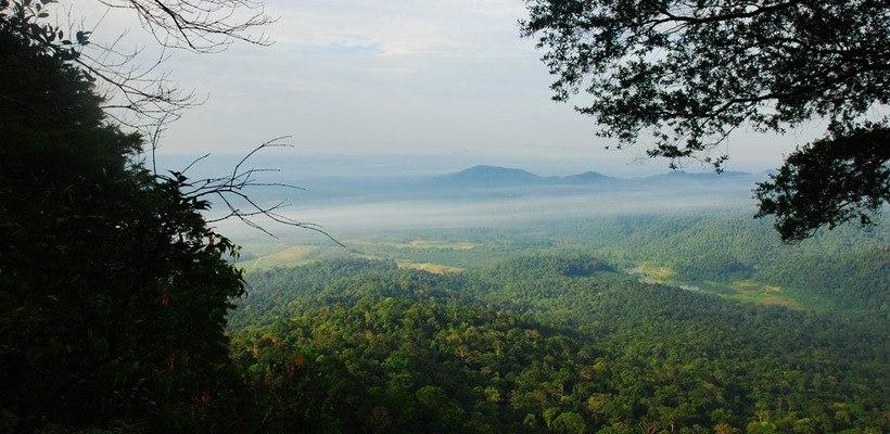 Gunung Panti Johor Bahru, Malaysia