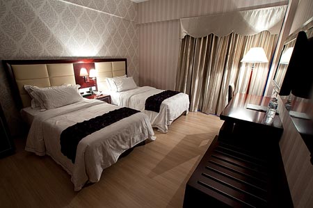 Pariss Hotel room view