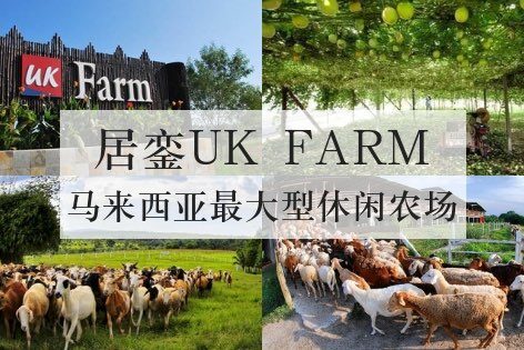 从新加坡前往居銮休闲农场(UK Farm)