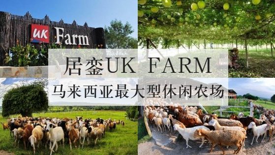 从新加坡前往居銮休闲农场(UK Farm)