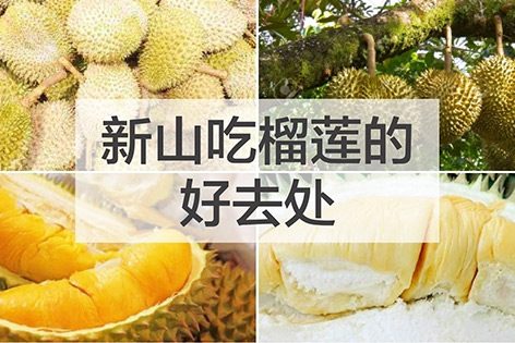 新山吃榴莲的好去处