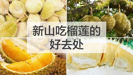 新山吃榴莲的好去处 新山吃榴莲的好去处