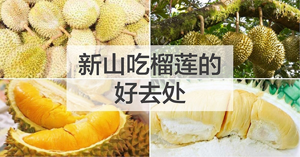新山吃榴莲的好去处