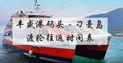 最新丰盛港与刁曼岛轮船往返时间表