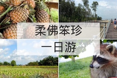 柔佛笨珍一日游