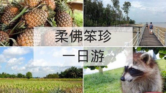 柔佛笨珍一日游