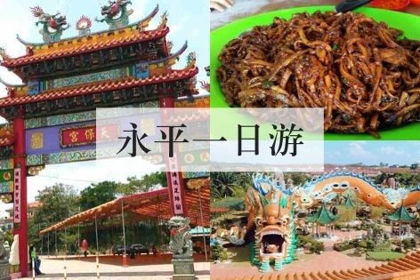 永平一日游