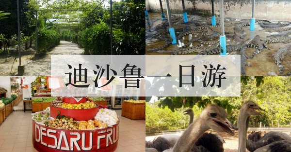 迪沙鲁一日游